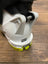 Dynafit Hoji Free 110 AT tech ski boots mondo 27.5 men 9.5
