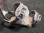 Arbor Sequoia Snowboard Bindings, Women S/M, Purple