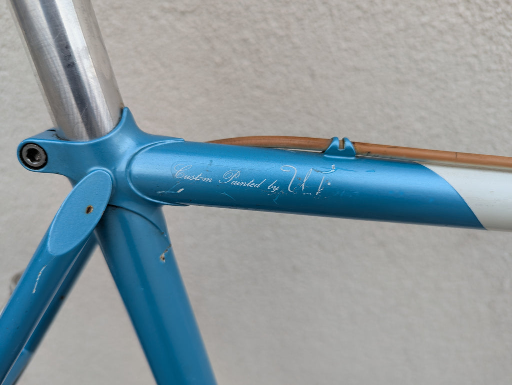 Vintage Panasonic Team Europe II Steel Road Bike, 56cm, AS IS