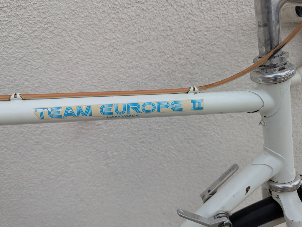 Vintage Panasonic Team Europe II Steel Road Bike, 56cm, AS IS