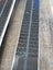 Whitewoods Whitetail NNN BC Cross Country Skis, Metal Edge, Waxless, Fishscales