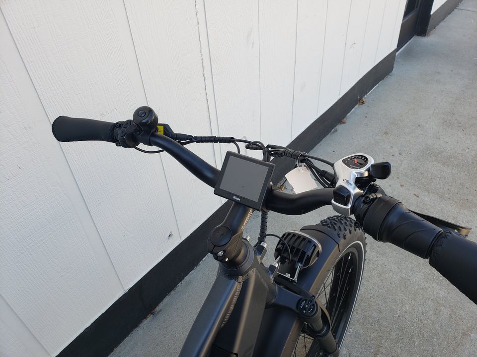 Dirwin Pioneer Fat-Tire E-Bike, Step-Thru, Black