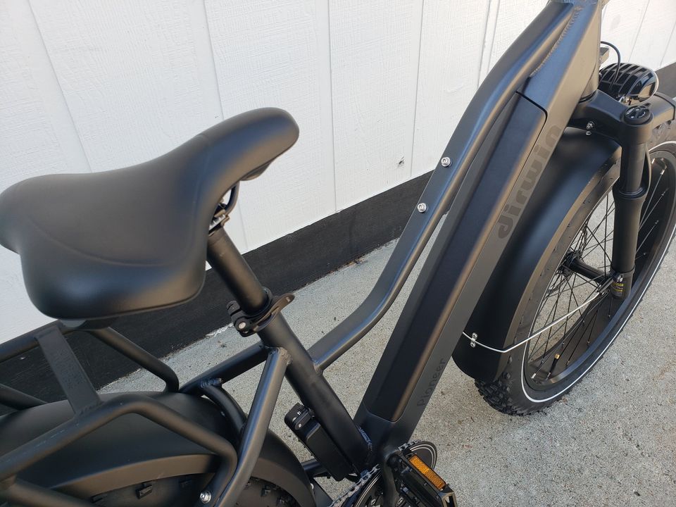 Dirwin Pioneer Fat-Tire E-Bike, Step-Thru, Black