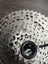 NEW Shimano Deore 12 Speed Cassette, CS-M6100, 10-51t, Microspline, New No Box