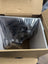 NEW Shimano Deore 12sp Rear Derailleur, RD-M6100-SGS, in box