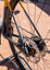 NEW 53cm Medium Fuji Jari Carbon 1.1 Carbon Gravel Bike, 2x12 GRX, Honeywheat Yellow